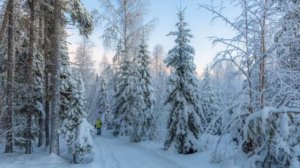 Нейромонах Феофан – Холодно в лесу
