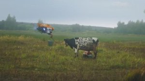 RUSSIAN CYBERPUNK FARM / РУССКАЯ КИБЕРДЕРЕВНЯ