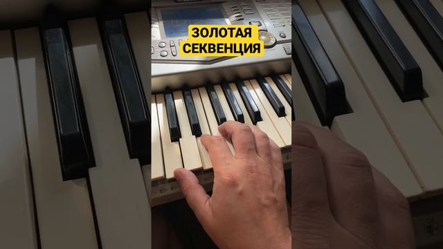 #золотаясеквенция #пианинодляначинающих #pianocover #pianomusic #синтезатор