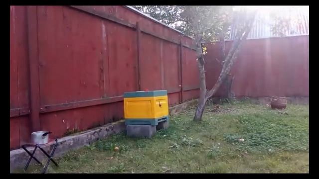 Перевозка и установка ППУ улья на даче смотреть онлайн