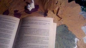 Атрофия зрительного нерва.