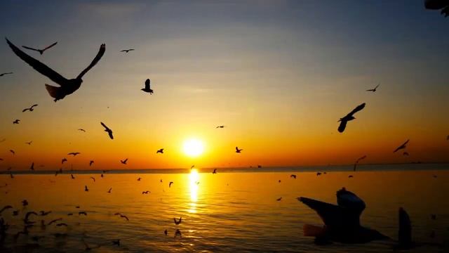 Энергичная Фоновая Музыка для Фокуса Внимания и Концентрации / Energetic Background Music смотреть онлайн