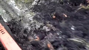 Агродирект представляет комбайн GT 170 от GRIMME -УБОРКА МОРКОВИ