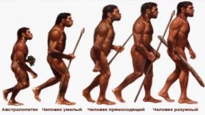 Происхождение и эволюция человека (рассказывает палеонтолог Александр Марков)