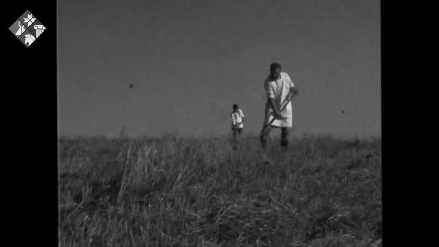 «Паронь пандома» (Дарить добро) смотреть онлайн