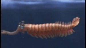 Опабиния * Древние Животные * № 8