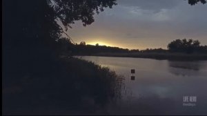 Василий Пьянов «Песня о Калининском районе Краснодарского края»