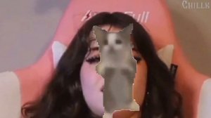 Hannah Owo VS Cat