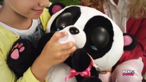 Club Petz Панда Yoyo интерактивная на Fun JoY