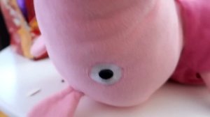 Черепуня или Пигуня