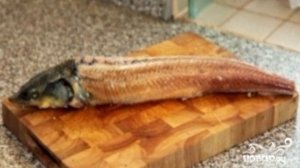 Осетрина, запеченная в духовке