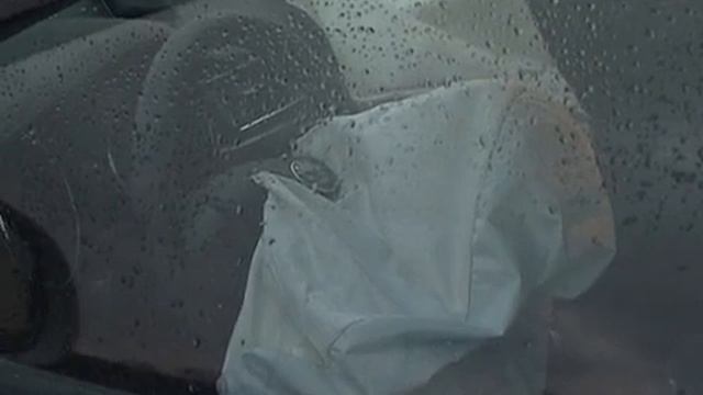 Под Череповцом машина столкнулась с лосем смотреть онлайн