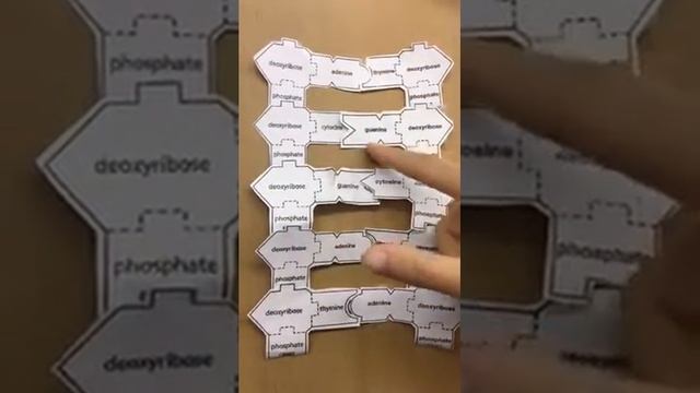 Base Pairs смотреть онлайн