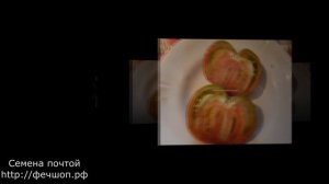 Самые лучшие и урожайные сорта высокорослых помидоров