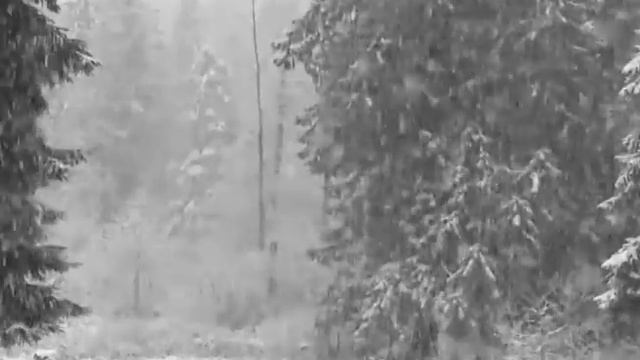 Памяти Юрия Гагарина.Я Чайка. Стихи Нины Соколовой (г.Шлиссельбург) истины Невской (Болеско) смотреть онлайн