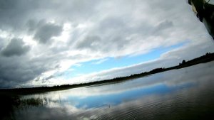 Рыбалка на карпа, чистые пруды Псковская область