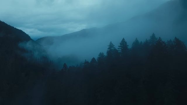 Jordan Critz. Starry Night смотреть онлайн