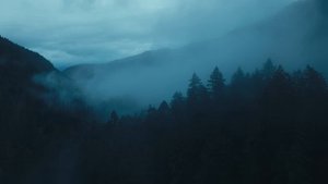 Jordan Critz. Starry Night