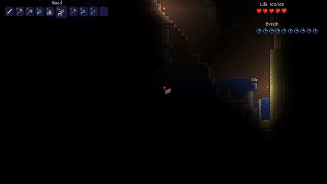 Terraria: Multiplayer Adventures - 2