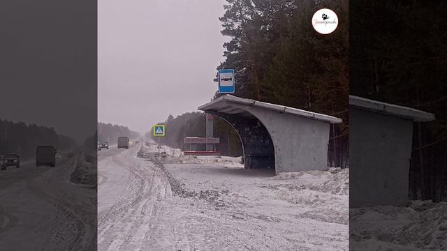 Найдена старая собака в снегу на обочине трассы смотреть онлайн