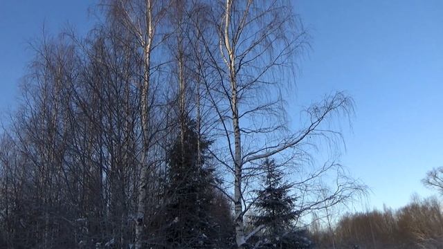 Катастрофа-замор на Селигере.Зимняя рыбалка на щуку,ловим на поставушки. смотреть онлайн