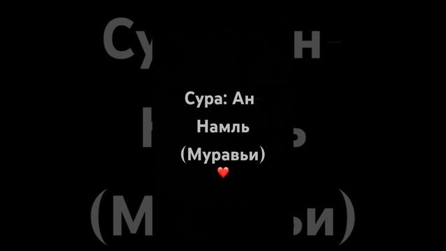 Сура: Ан-Намль (Муравьи)❤️Чтецы Билал Дарбали и Мухаммад Дибиров Красивое Чтения Корана | #quran