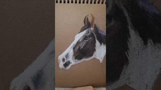 РИСУЕМ ЛОШАДЬ ПОРОДЫ МАРВАРИ ПАСТЕЛЬЮ смотреть онлайн