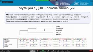 Яхненко Алена Сергеевна (ЛЯП ОИЯИ)«Новый вид экстремофильного микроорганизма ...  БНО. ИЯИ РАН» Вст.