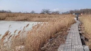 База отдыха 38 самураев