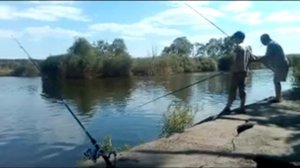 Интересная рыбалка на поплавок и дальний заброс!