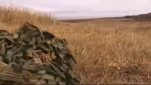 ''Летучие мыши'' России