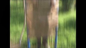 Возможно ли выбраться из скотча?! Связали скотчем!