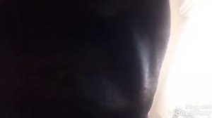 Возили #кота на укол? ? ? от лишая