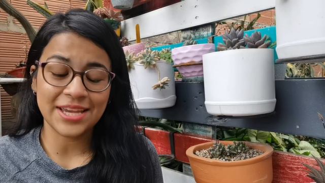 MIS FAVORITOS DEL JARDÍN 2021: Suculentas, herramientas de jardinería, etc. 🌱 | Jardines by Angie смотреть онлайн