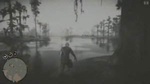 Red Dead Redemption 2* Карта сокровищ болото блюуотер