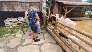 Весело однако! Дорогой ресторан в Ворохте, парк в Буковеле Гуцул Лэнд…
