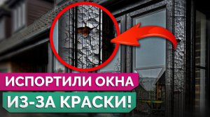 Как краска может ИСПОРТИТЬ вам ОКНО? / Стоит ли самостоятельно красить окна?