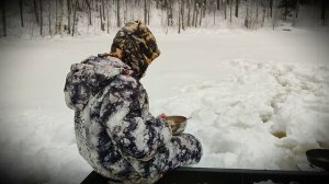 КЕНОЗЕРЬЕ 2024