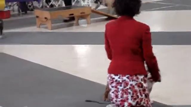 CHEROKKE LEGEND ORANGE CRUSH  SANTA ROSA CA смотреть онлайн