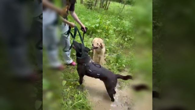 Работа и будни волонтера смотреть онлайн