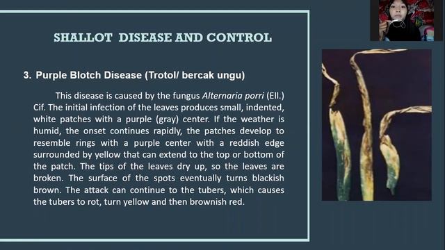 Disease Management of Shallot смотреть онлайн