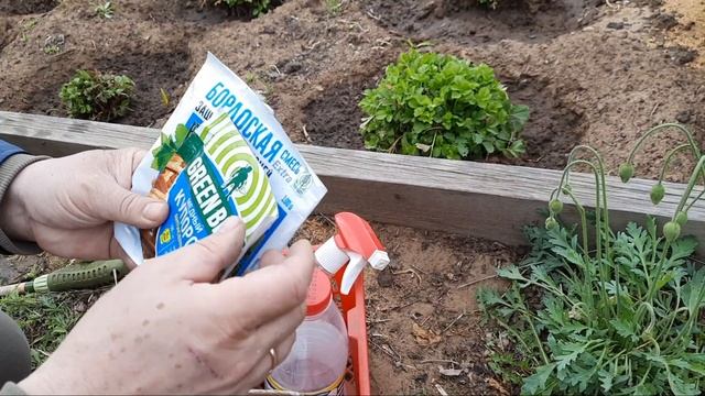 ХОРУС. ПЕРВАЯ ВЕСЕННЯЯ ОБРАБОТКА. БУРЯТИЯ. 2021. смотреть онлайн