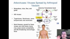 Unit 6. Chapter 25 The RNA Viruses of Medical Importance