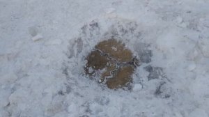 ТРОТУАРНАЯ ПЛИТКА И БРУСЧАТКА СПУСТЯ 3 ГОДА! ОТЗЫВЫ ТРОТУАРНАЯ ПЛИТКА.