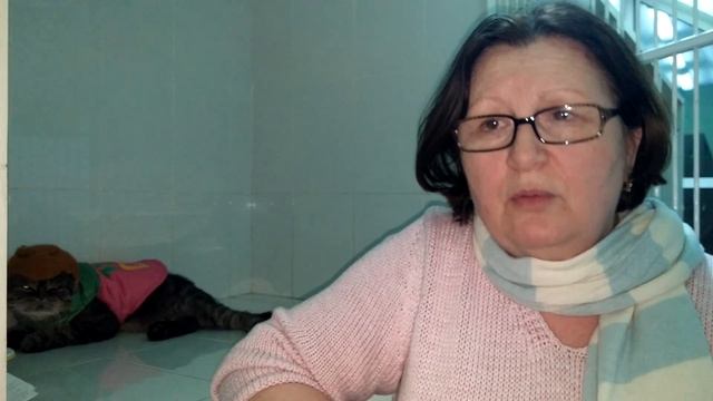 Ртищева Наталья Мировна рассказывает о посещении клиники "Ветмастер" и выражает слова благодарности