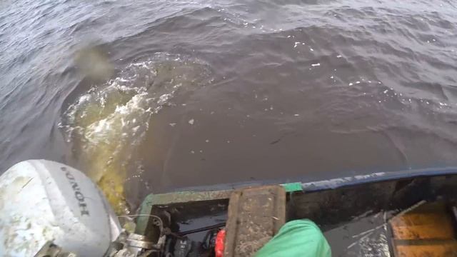 Лодка ломится от рыбы. Сазан, Лещ, Карась.... смотреть онлайн