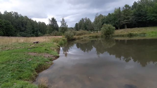 Ржевский лесопарк: Разлив реки Лапки смотреть онлайн