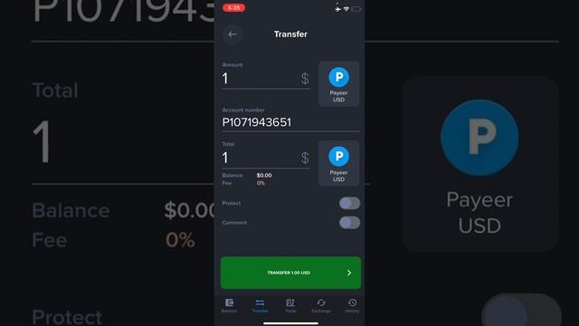 Как ВЫВЕСТИ с PAYEER на КАРТУ СберБанка ? смотреть онлайн