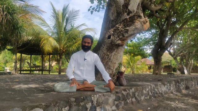 8 LIMBS OF YOGA - ASHTANGA (Patanjali Yoga Sutras) [] www.21stCentury.Yoga ~ Manish Pole смотреть онлайн