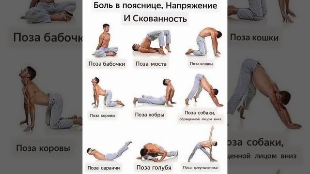 ПОЗЫ ДЛЯ СПИНЫ смотреть онлайн